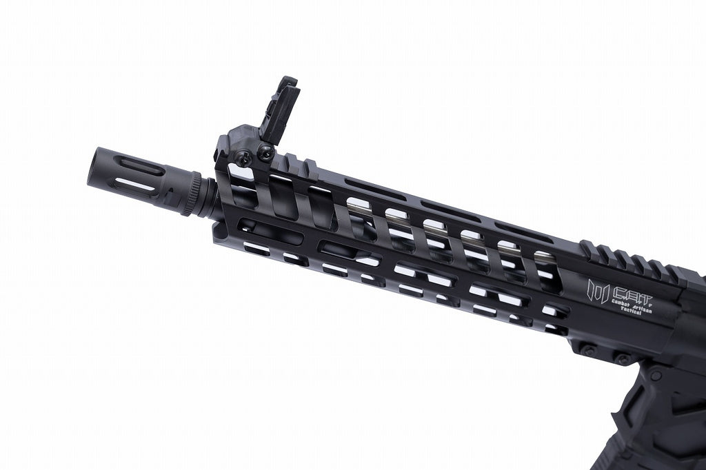 C.A.T.】AR-15 Legend 10