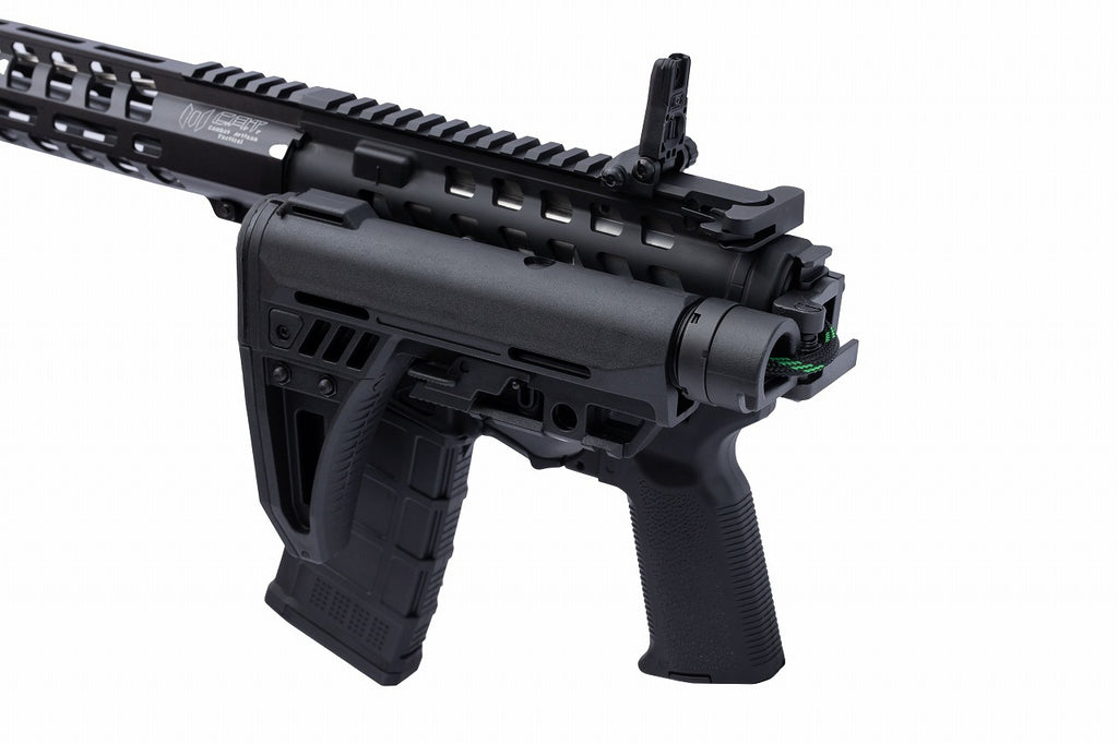 C.A.T.】AR-15 Legend 10